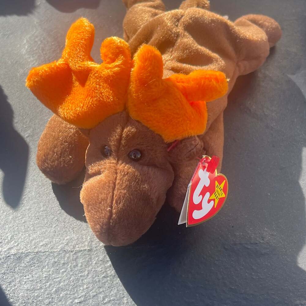 Very rare sticker covering tag ...Ty Beanie baby "chocolate" the Moose.